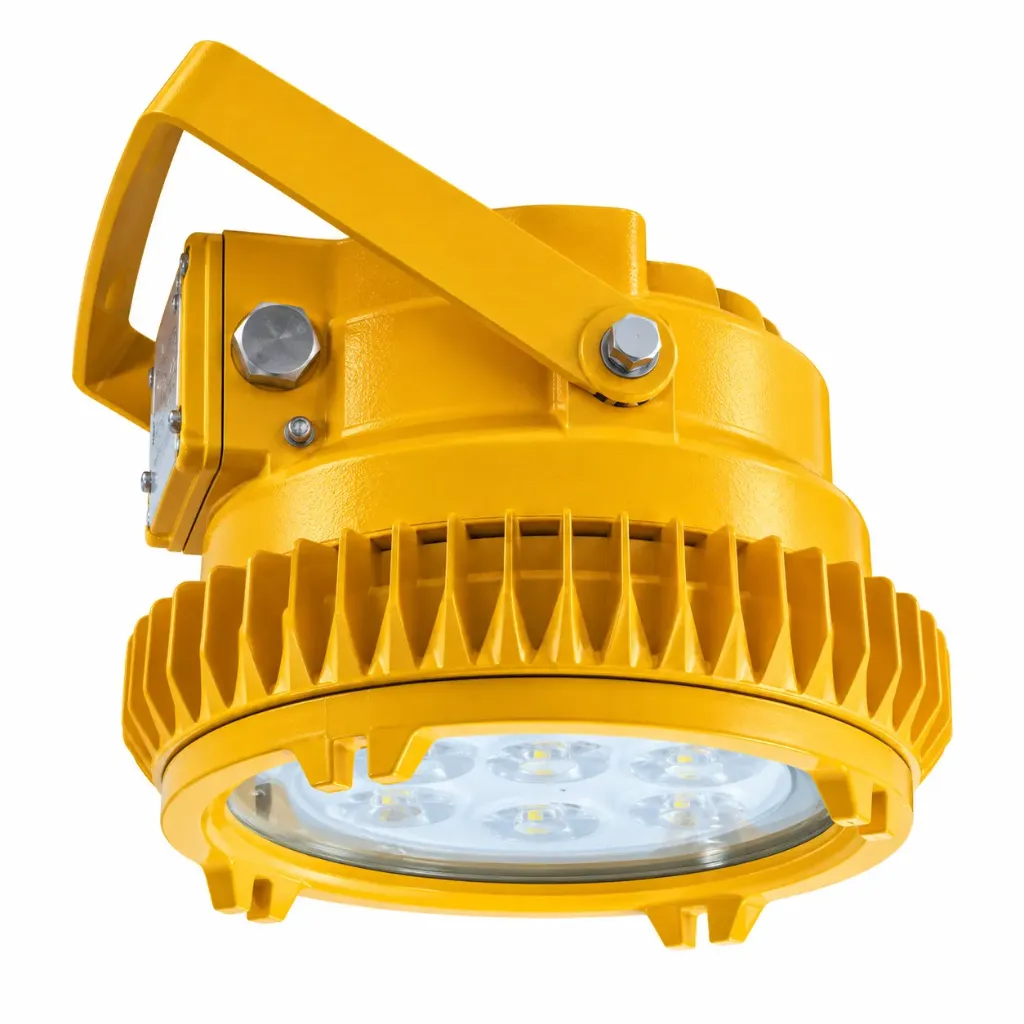 Explosion-proof Marine Pendant LED Light - BDD95 Series