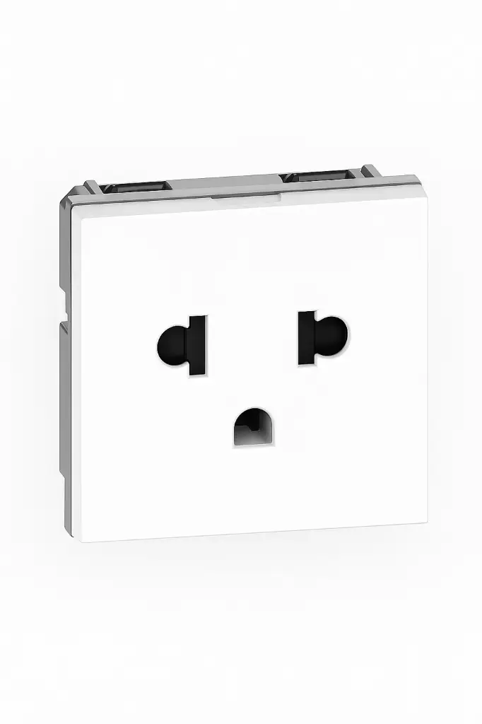 LeGrand US/Euro 2P+E Socket