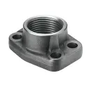 Flange size 1", single-part Code 61, RTJ X THDF, BSPP - TYPE BFX-G 3000PSI BSPP1"