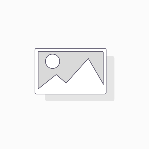 Ray-Ban New Wayfarer Polarised Sunglasses, RB2132 - Polished Black Size 55-18