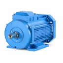 Marine Motors